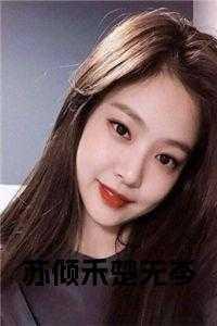 女主角叫苏倾沅的