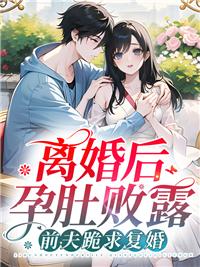 离婚后前夫怀了我的孩子by