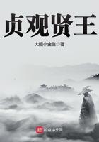 贞观贤王笔趣阁