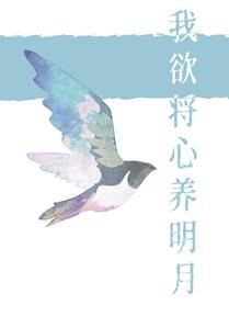 多梨 我欲将心养明月