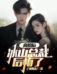 离婚后冰山总裁后悔了林凡