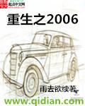 重生之2006内
