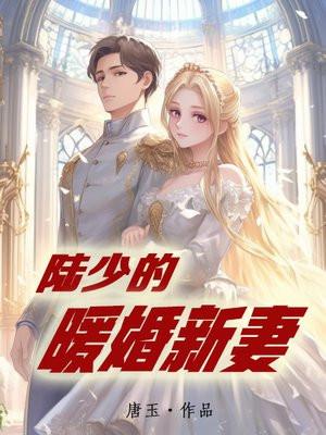 陆少的暖婚新妻笔趣阁