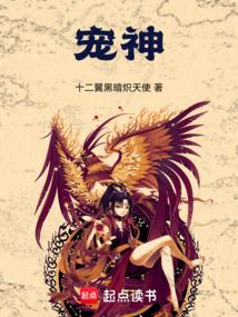 宠神 十二翼黑暗炽天使