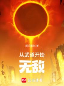 从武道开始无敌乘风御剑TXT