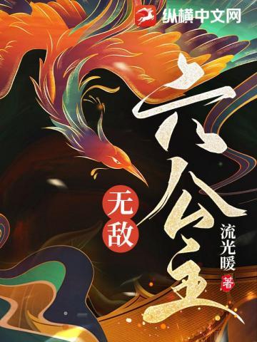 无敌破坏王公主