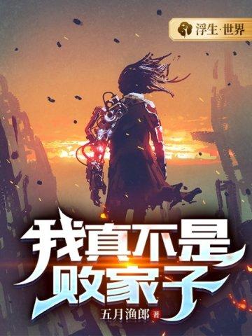 我真不是败家子TXT