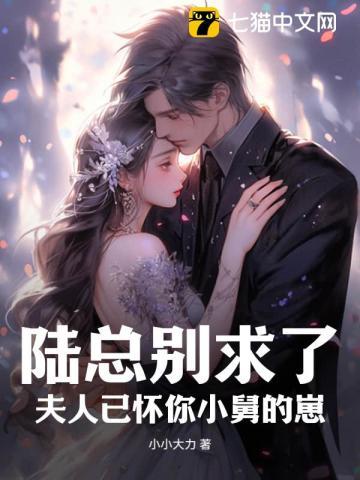 陆总别求了夫人已被宠上天免费阅读全文