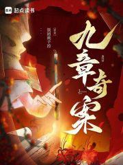 九章奇案讲的什么
