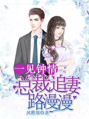 总裁狂宠妻