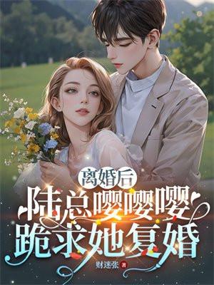 离婚后陆总他后悔了短剧全集