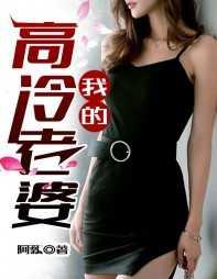 我的高冷老婆txt