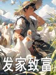 发家致富奔小康[九零