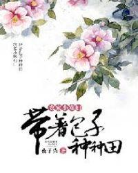书名 农家小寡妇带着包子种种田