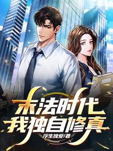 末法时代的修道者吧