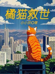 橘猫 攻略