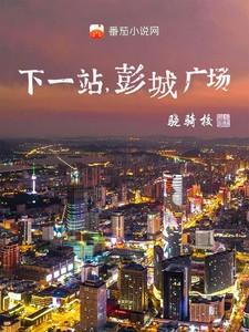 彭城广场TXT