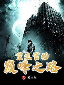 官场重生之巅峰人生