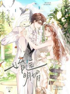 婚途漫漫全文阅读