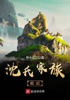 沈氏家族崛起女主