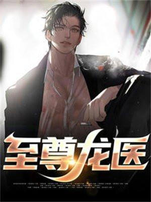 至尊龙医叶辰刘萍