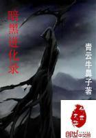 暗黑进化录好看吗