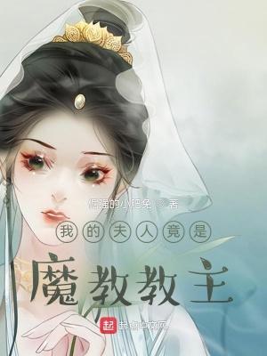 我的夫人是神捕