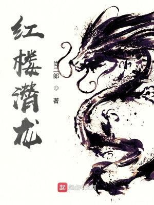 红楼潜龙笔趣阁