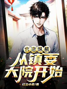 一本官场主角从乡镇开始