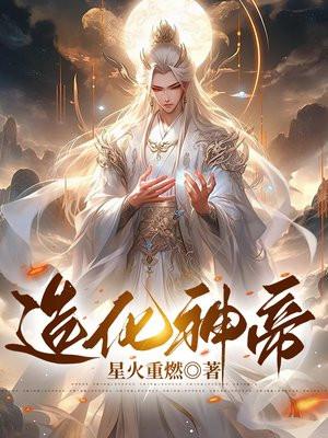 造化神帝叶风免费阅读