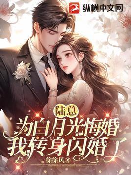 我转身闪婚了简介