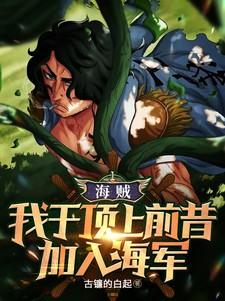海贼我在顶上开木