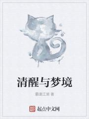 清醒与梦境什么意思