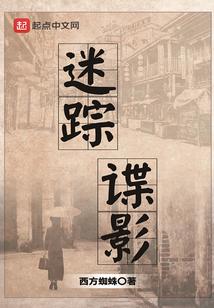 迷踪谍影迅雷