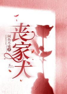 丧家犬与落水狗官网