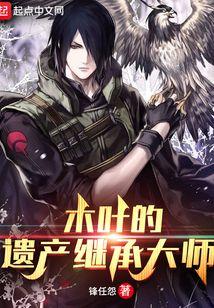 木叶的遗产继承大师贴吧