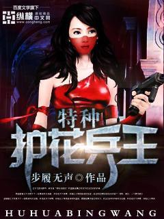 护花特种兵叶枫免费