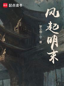 风起明末无错版