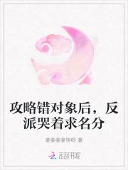 攻略对象出了错cp
