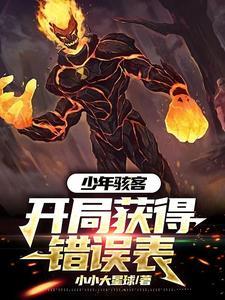 少年骇客之