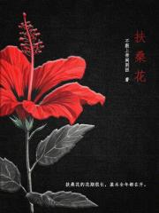 扶桑花黄叶子是怎么回事怎么补救