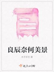 良辰美景奈何天的深意