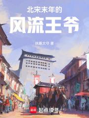 北宋末年历史穿越