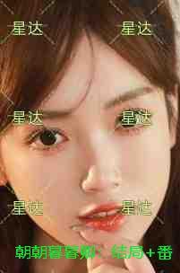 朝朝暮暮阅读