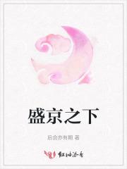 盛京之旅客服