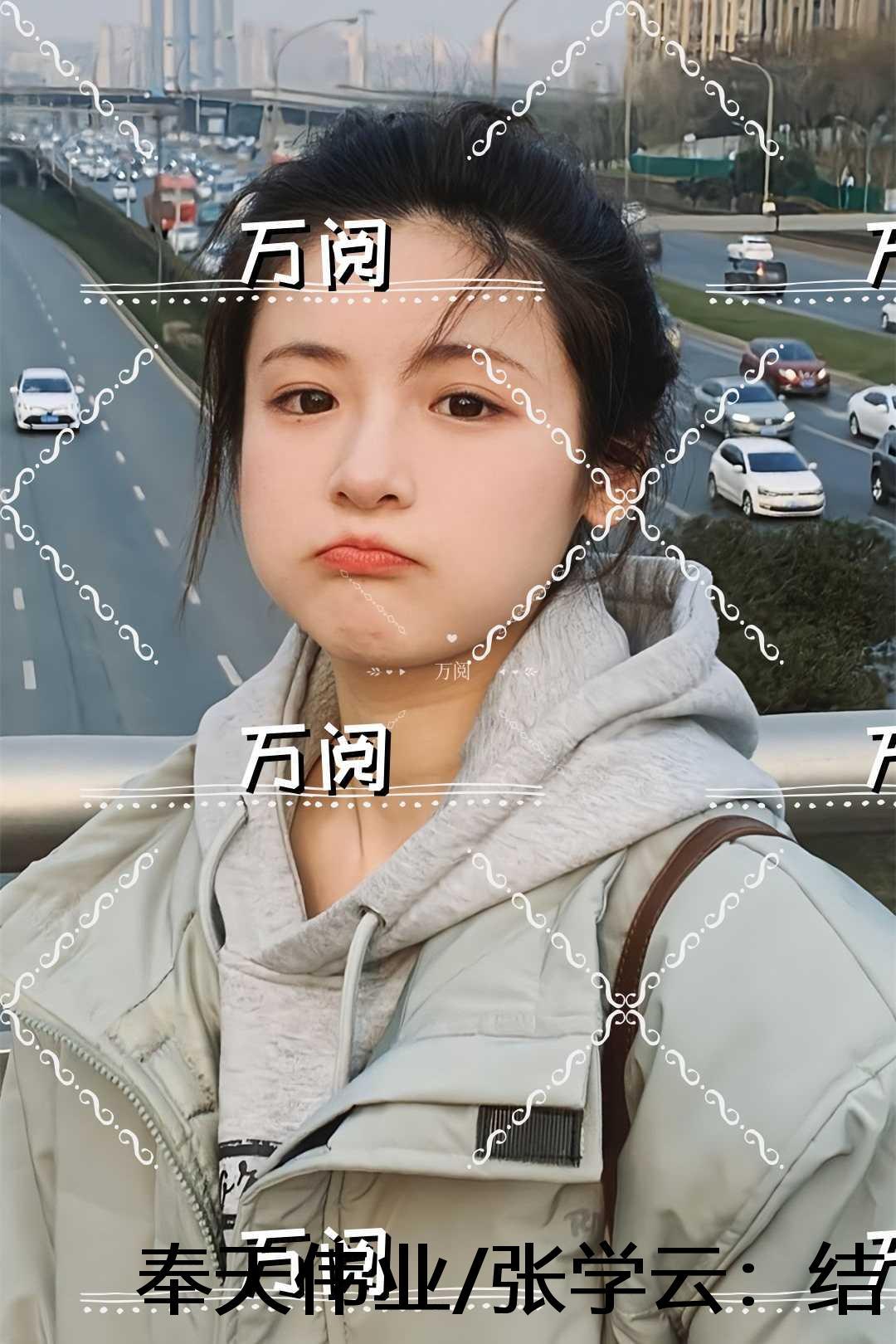 穿越奉天伟业张学云的