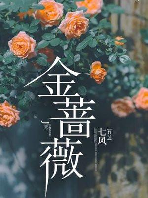 金蔷薇书籍