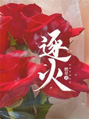 逐火十三英桀图片