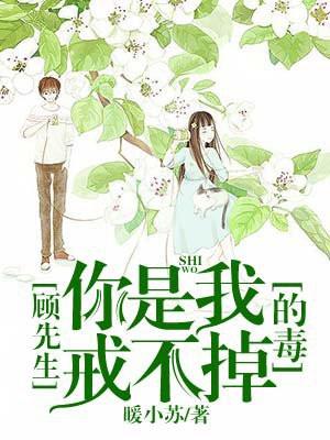 你是我命定的劫书包