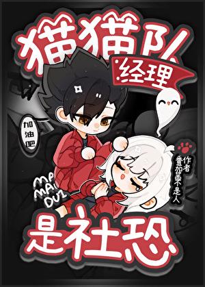 猫猫队经理是社恐大结局